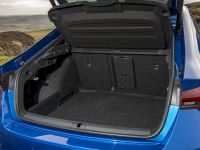 Skoda Octavia vRS (2021)