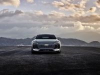 Audi A6 Avant e-tron Concept (2022) - picture 10 of 58