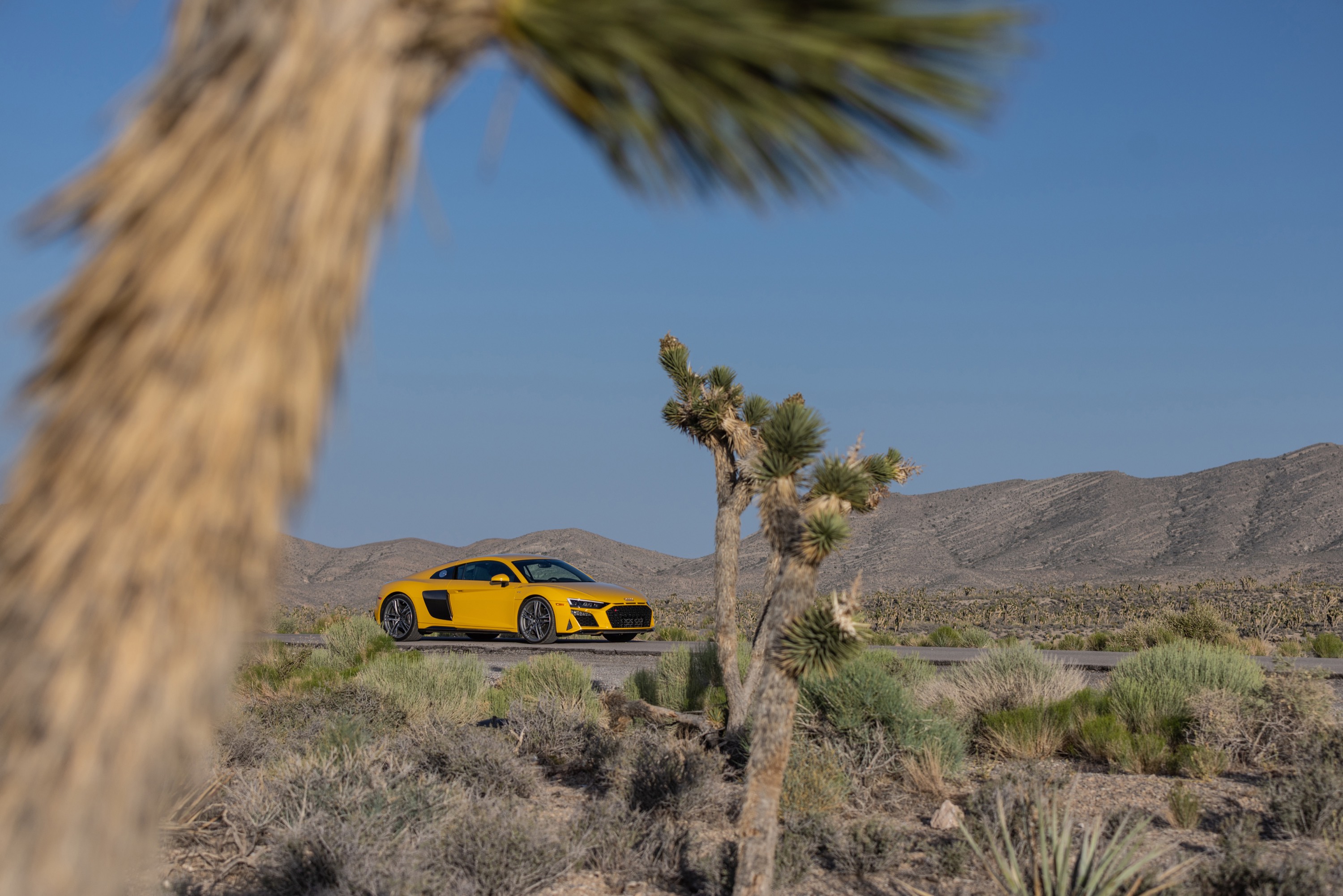 Audi R8 Coupe