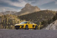 Audi R8 Coupe (2022) - picture 13 of 41