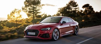 Audi RS 5 Coupe Competition Plus Package (2022) - picture 44 of 98