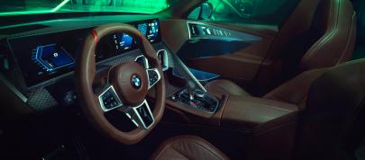 BMW Concept XM (2022) - picture 31 of 44