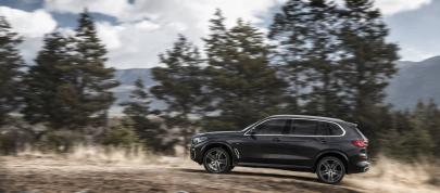 BMW X5 xDrive40Li (2022) - picture 4 of 11