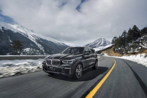BMW X5 xDrive40Li (2022) - picture 1 of 11