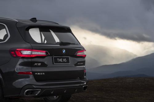 BMW X5 xDrive40Li (2022) - picture 9 of 11
