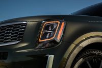 Kia Telluride (2022)