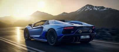 Lamborghini Aventador LP780-4 Ultimae Roadster (2022) - picture 20 of 32
