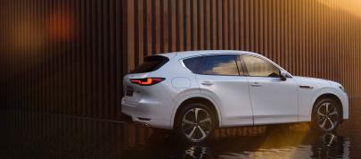 Mazda CX-60 Takumi (2022) - picture 7 of 47