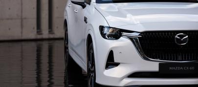 Mazda CX-60 Takumi (2022) - picture 20 of 47