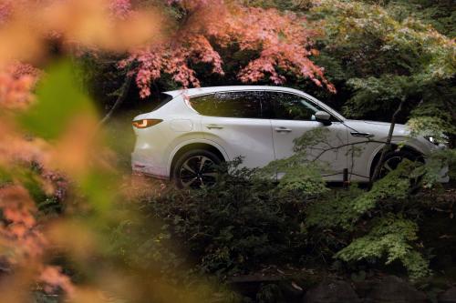 Mazda CX-60 Takumi (2022) - picture 8 of 47