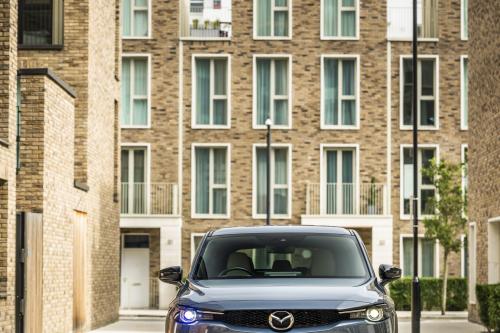 Mazda MX-30 (2022) - picture 25 of 54