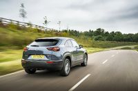 Mazda MX-30 (2022) - picture 19 of 54