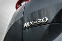 Mazda MX-30 (2022) - picture 53 of 54