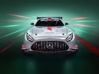 Mercedes-Benz AMG GT3 Edition 55 (2022)