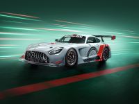 Mercedes-Benz AMG GT3 Edition 55 (2022)