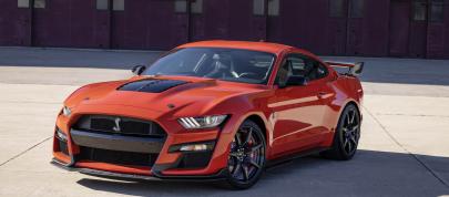 Mustang Shelby GT500 Heritage Edition (2022) - picture 4 of 49