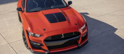 Mustang Shelby GT500 Heritage Edition (2022) - picture 7 of 49