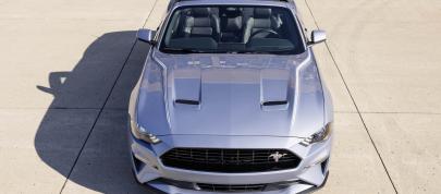 Mustang Shelby GT500 Heritage Edition (2022) - picture 28 of 49