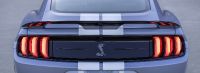 Mustang Shelby GT500 Heritage Edition (2022) - picture 37 of 49