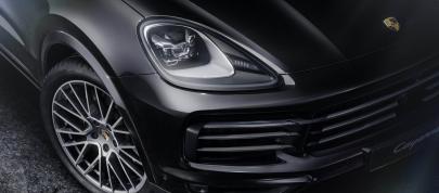 Porsche Cayenne Platinum Edition (2022) - picture 4 of 9