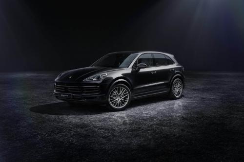 Porsche Cayenne Platinum Edition (2022) - picture 1 of 9