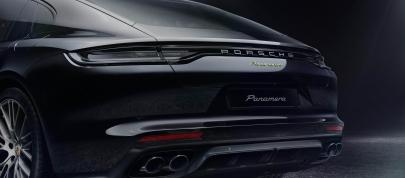 Porsche Panamera 4 E-Hybrid Platinum Edition (2022) - picture 4 of 7
