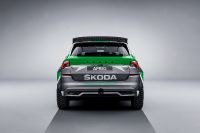 Skoda Afriq Concept (2022) - picture 5 of 47