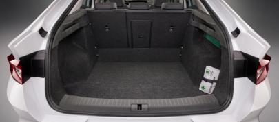 Skoda Enyaq Coupe iV (2022) - picture 15 of 22