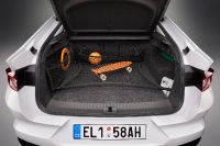 Skoda Enyaq Coupe iV (2022) - picture 19 of 22