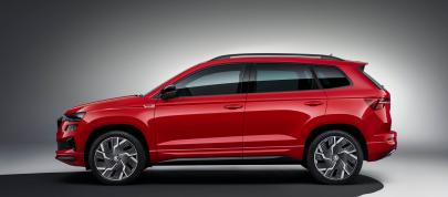 Skoda Karoq (2022) - picture 7 of 37