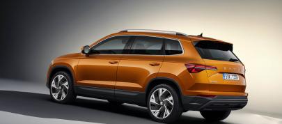 Skoda Karoq (2022) - picture 20 of 37