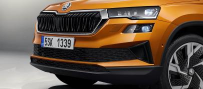 Skoda Karoq (2022) - picture 23 of 37