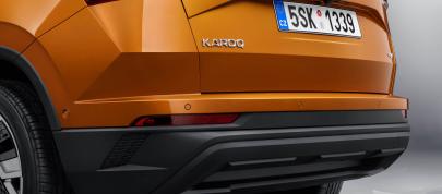 Skoda Karoq (2022) - picture 28 of 37