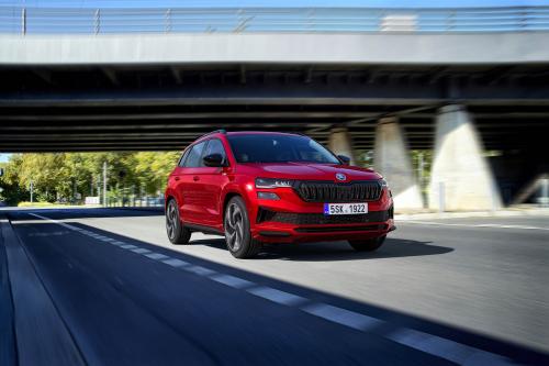 Skoda Karoq (2022) - picture 9 of 37