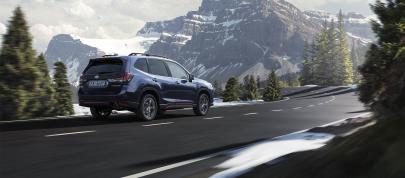 Subaru Forester e-BOXER (2022) - picture 15 of 25