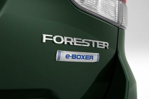 Subaru Forester e-BOXER (2022) - picture 16 of 25