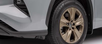 Toyota Highlander Hybrid-Only Bronze Edition (2022) - picture 4 of 36