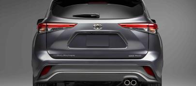 Toyota Highlander Hybrid-Only Bronze Edition (2022) - picture 7 of 36