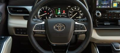 Toyota Highlander Hybrid-Only Bronze Edition (2022) - picture 23 of 36