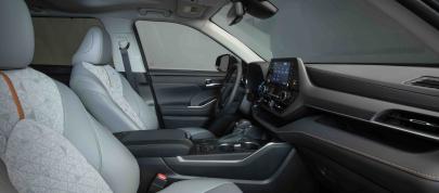 Toyota Highlander Hybrid-Only Bronze Edition (2022) - picture 31 of 36