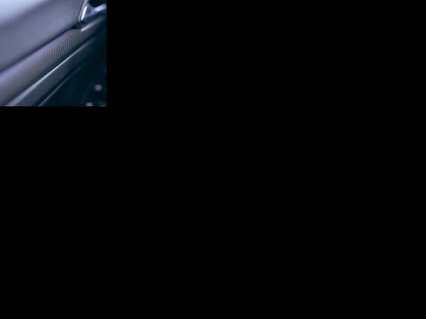 Volkswagen Golf R 20th Anniversary Edition (2022) - picture 49 of 49