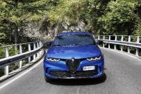 Alfa Romeo Tonale Hybrid (2023) - picture 13 of 44