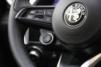Alfa Romeo Tonale Hybrid (2023) - picture 38 of 44