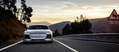 Audi A6 e-tron concept (2023) - picture 7 of 54