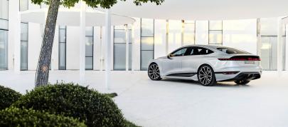Audi A6 e-tron concept (2023) - picture 39 of 54