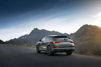Audi RS Q3 Sportback 10 Years Edition (2023)