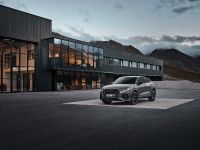 Audi RS Q3 Sportback 10 Years Edition (2023)