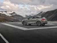 Audi RS Q3 Sportback 10 Years Edition (2023)