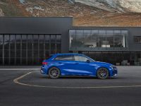 Audi RS3 Performance (2023)