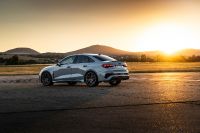 Audi RS3 Performance (2023)